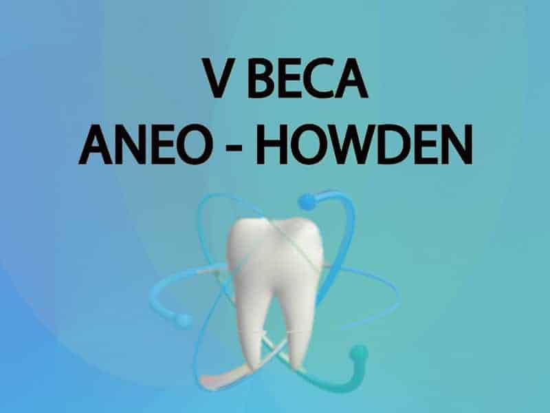ANEO Howden